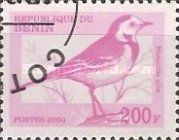 White Wagtail (Motacilla alba)