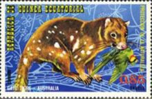 Spotted-tailed Quoll (Dasyurus maculatus)