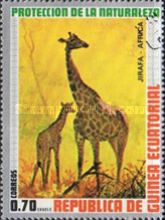 Giraffe (Giraffa camelopardalis)