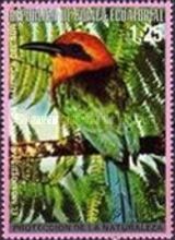 Broad-billed Motmot (Electron platyrhynchum)