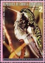 Hummingbird