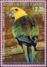 Jandaya Parakeet (Aratinga jandaya)