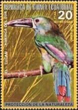 Crimson-rumped Toucanet (Aulacorhynchus haematopygus)