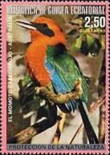 Rufous Motmot (Baryphthengus martii)