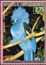Western Crowned-Pigeon (Goura cristata)