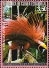 Raggiana Bird-of-paradise (Paradisaea raggiana)