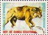 Wolf (Canis lupus)