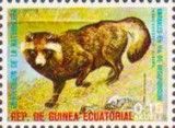 Racoon Dog (Nyctereutes procyonoides)