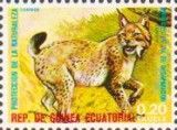 Eurasian Lynx (Lynx lynx)