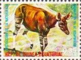 Okapi (Okapia johnstoni)