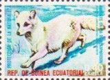 Polar Fox (Vulpes lagopus)