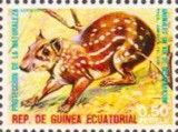 Lowland Paca (Cuniculus paca)