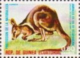 Brush-Tailed Rock-Wallaby (Petrogale penicillata)