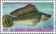 Sailfin Molly (Mollienisia latipinna)