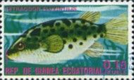 Green Pufferfish (Tetraodon fluviatilis)