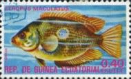 Orange Chromide (Etroplus maculatus)