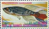 Blue Gularis (Aphyosemion caeruleum)