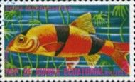 Clown Loach (Botia macracantha)
