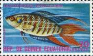 Paradise Fish (Macropodus opercularis)