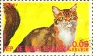 Red Tabby (Felis silvestris catus)