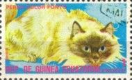 Colorpoint Persian (Felis silvestris catus)