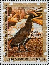 Rufescent Tiger-Heron (Tigrisoma lineatum)