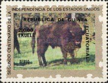American Bison (Bos bison)