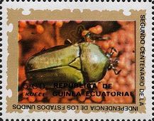Beetle