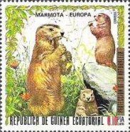 Alpine Marmot (Marmota marmota)