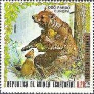 Brown Bear (Ursus arctos)