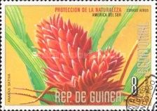 Ananas sativa