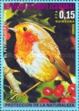 European Robin (Erithacus rubecula)
