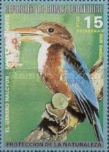 White-throated Kingfisher (Halcyon smyrnensis)