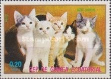 Domestic Cat (Felis silvestris catus)