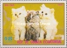 Persian (Felis silvestris catus)
