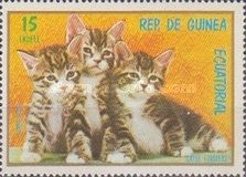 Domestic Cat (Felis silvestris catus)