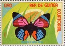 Ropalocero de america tropical