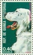 Setter (Canis lupus familiaris)