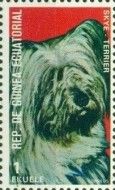 Skye Terrier (Canis lupus familiaris)