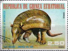 Armadillo