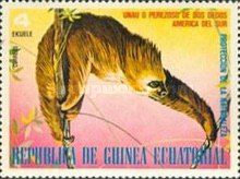 Linneaus's Two-toed sloth (Choloepus didactylus)