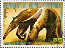 Giant Anteater (Myrmecophaga tridactyla)