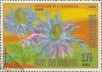 Eryngium alpinum