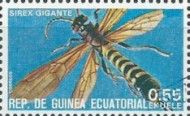 Giant woodwasp (Urocerus Gigas)