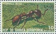 Red Wood Ant (Formica rufa)