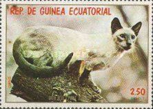 Domestic Cats (Felis silvestris catus)