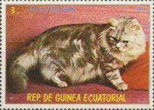 Domestic Cats (Felis silvestris catus)