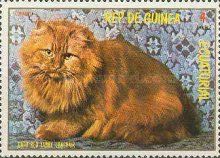 Domestic Cats (Felis silvestris catus)
