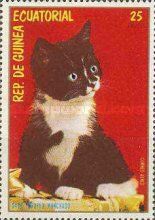 Domestic Cats (Felis silvestris catus)