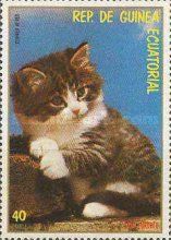Domestic Cats (Felis silvestris catus)